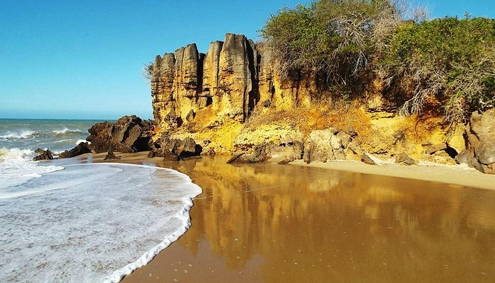 Chegada de Cabral ao Brasil 2