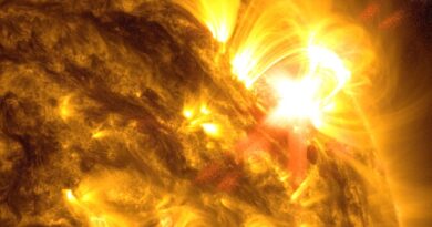 Nova IA enxerga regiões ativas do Sol 9 horas antes